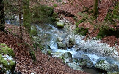 Dans les gorges de Covatannaz