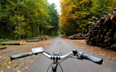 À vélo électrique dans le Parc Jura vaudois