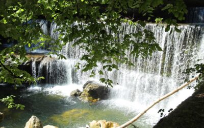 Mission fraîcheur dans les gorges de l’Areuse