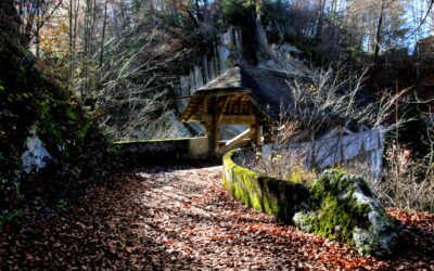 Fabuleuse odyssée en Gruyère