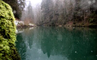 Échappée hivernale près du Lac Vert