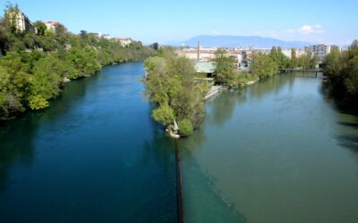 Le long du Rhône, côté genevois