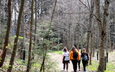 Bain de forêt au Mont Pèlerin