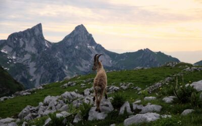 Coucher de soleil au Grammont