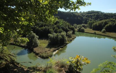 Autour du lac de Pérolles