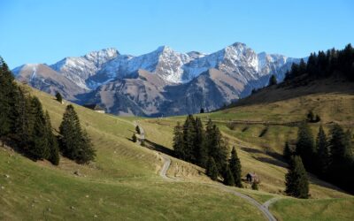 Les Paccots jusqu’à la buvette Le Vuipay