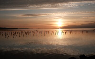 Coucher de soleil à La Sauge