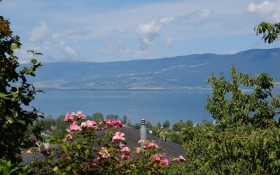 D’Estavayer à Cheyres: à pied dans la Grande Cariçaie