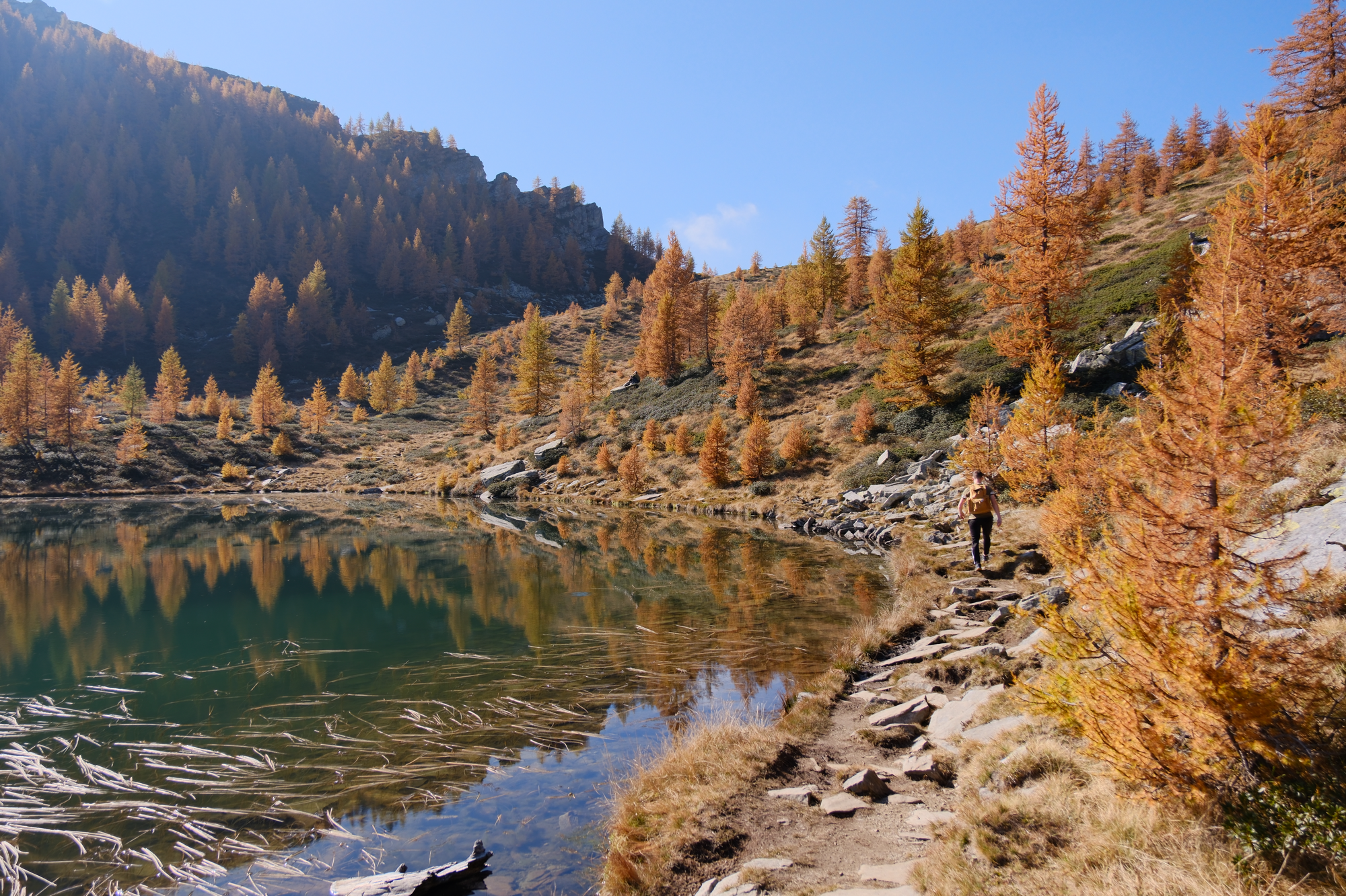 Header_ValOnsernone